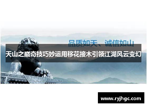 天山之巅奇技巧妙运用移花接木引领江湖风云变幻
